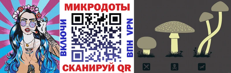 Псилоцибиновые грибы ЛСД Верхотурье